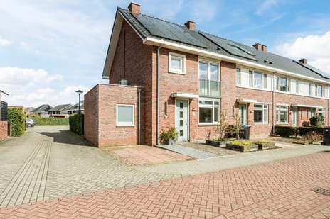 Paardenbloem thumbnail
