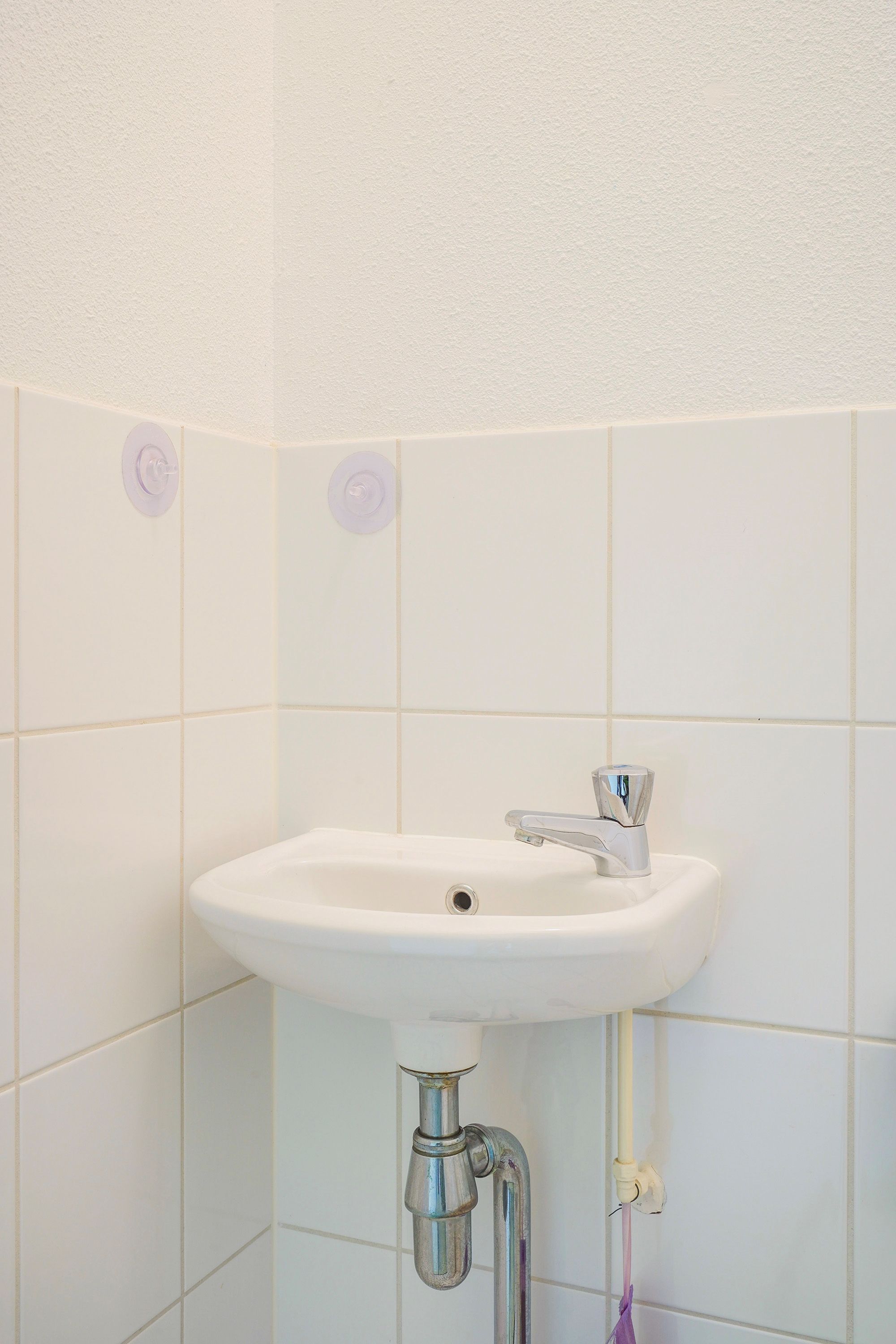 Foto 6 van Bocht van Guinea 41