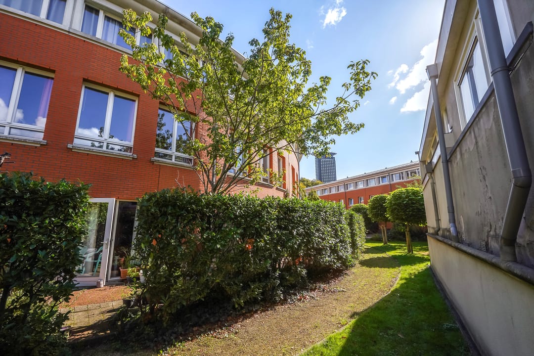 Foto 11 van Bocht van Guinea 41