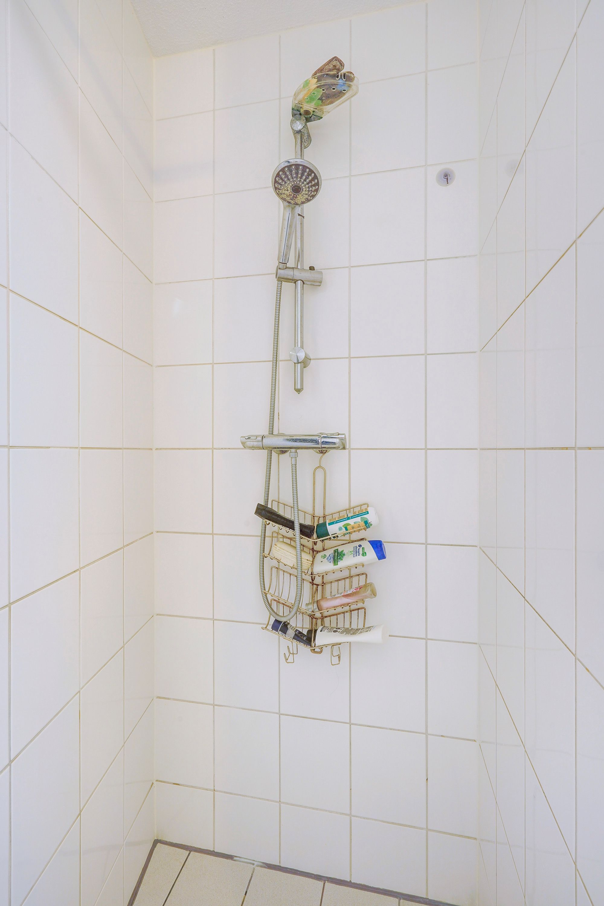 Foto 24 van Bocht van Guinea 41