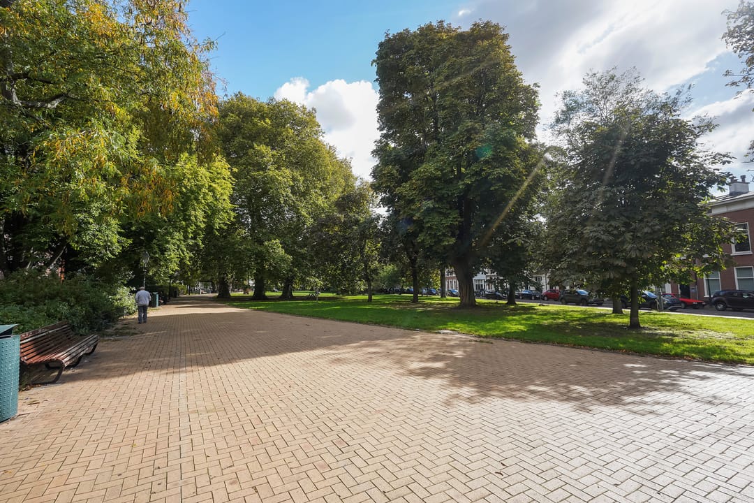 Foto 26 van Bocht van Guinea 41