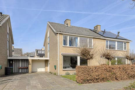 undefined main image