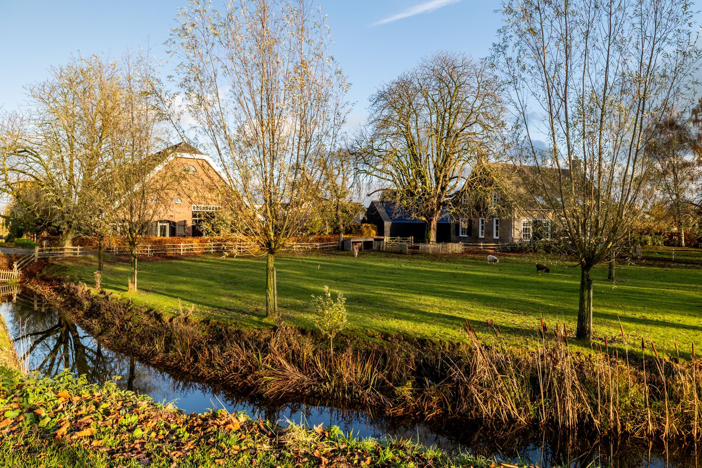 Foto 4 van Bloemendaalse Zeedijk 2