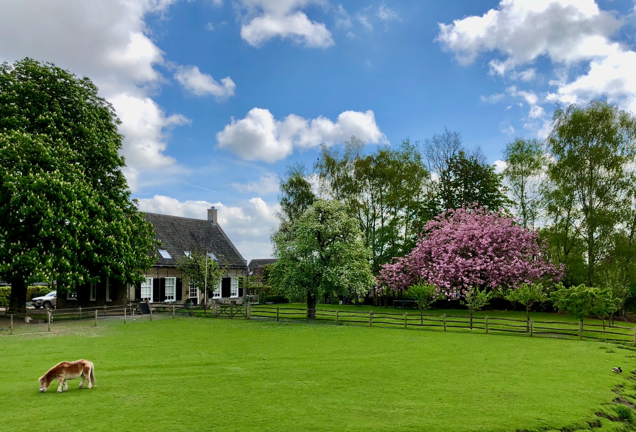 Foto 42 van Bloemendaalse Zeedijk 2