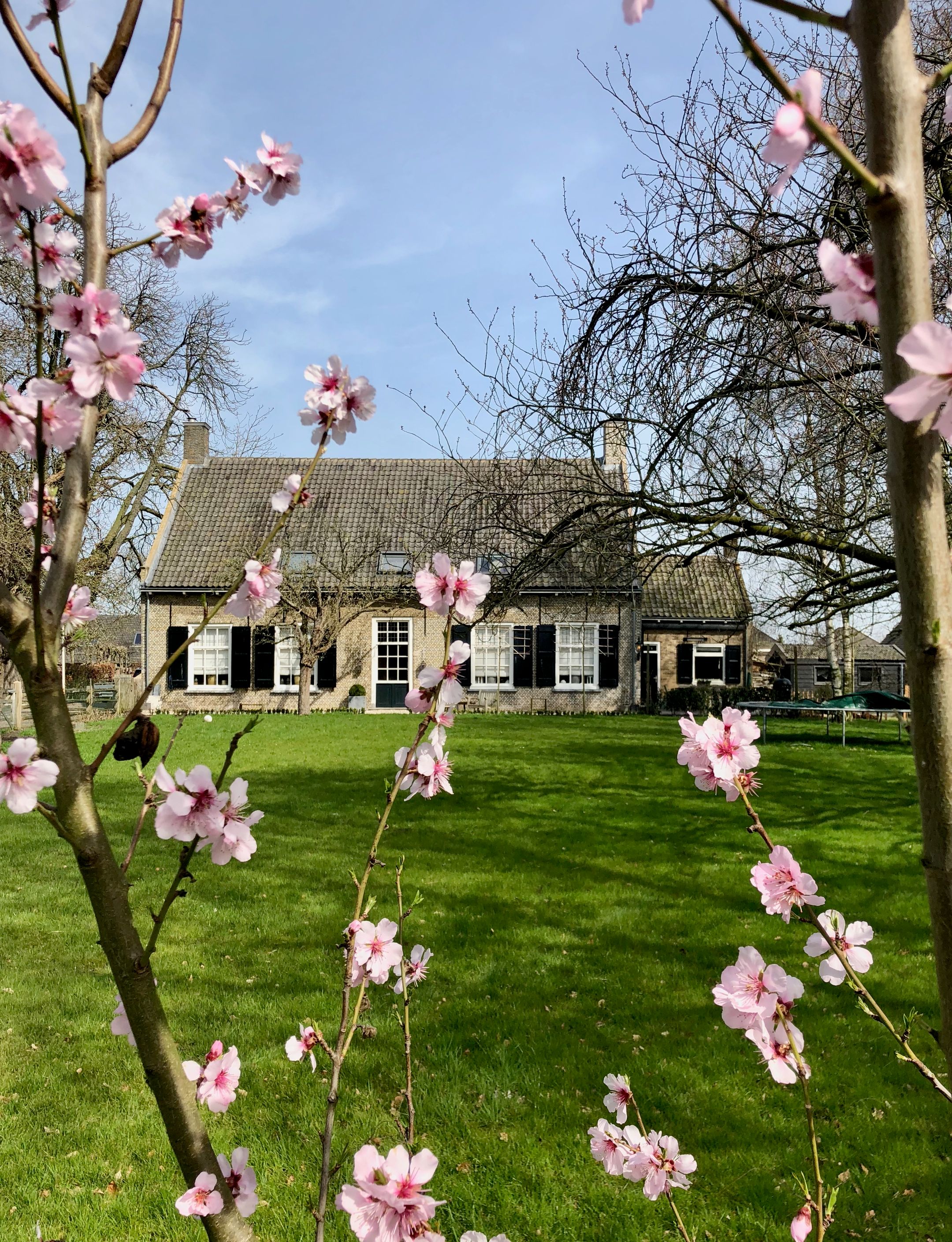 Foto 48 van Bloemendaalse Zeedijk 2