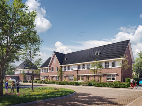 Harm Ellensstraat thumbnail