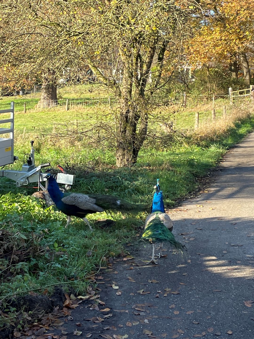 Photo 22 of de Kamp 7