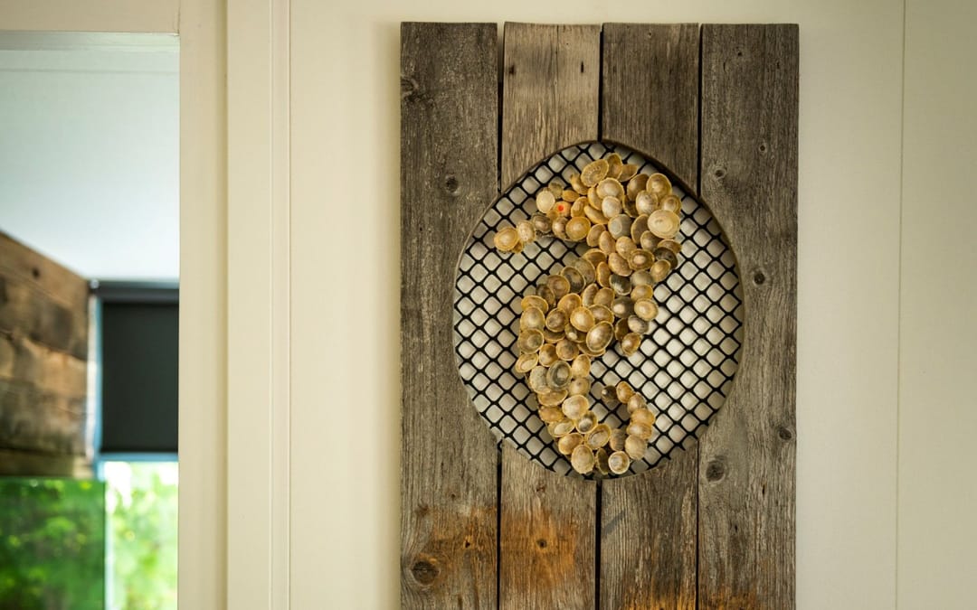 Foto 23 van 't Ongerepte 14