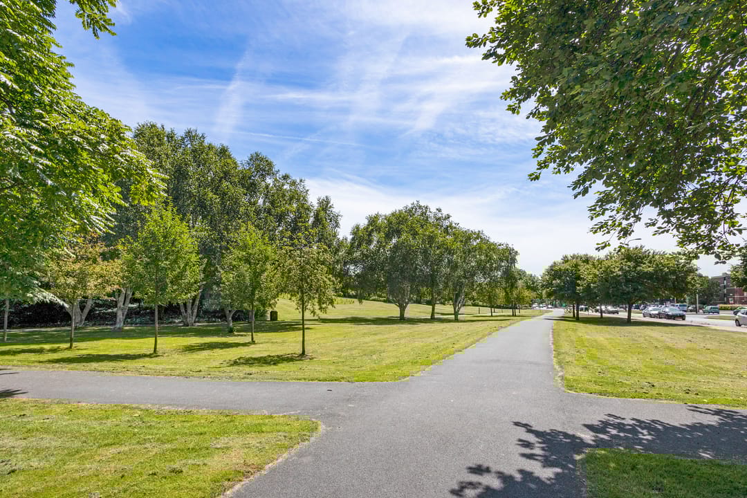 Foto 17 van Loevesteinlaan 387-B