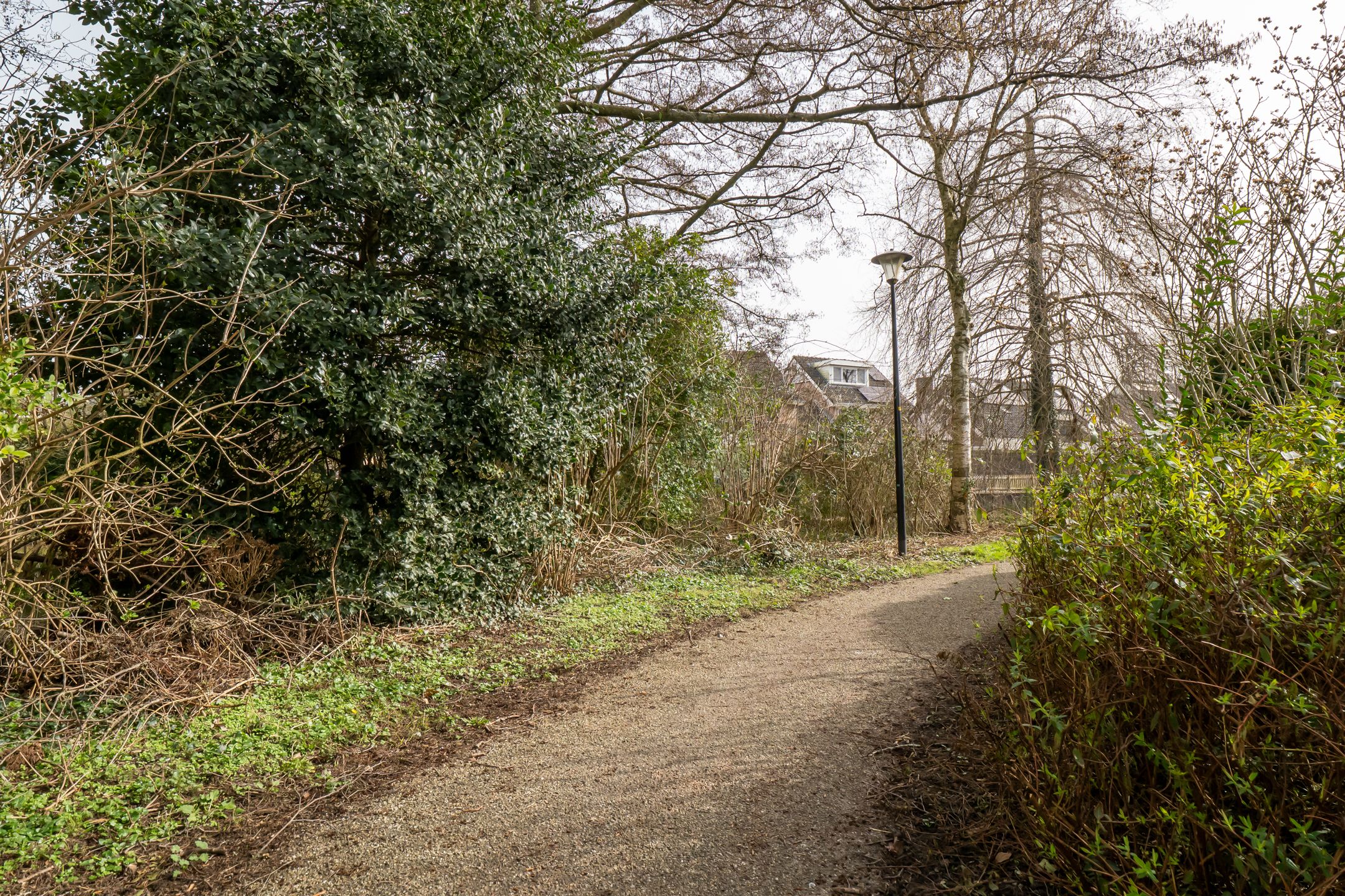 Foto 36 van Pelmolen 38