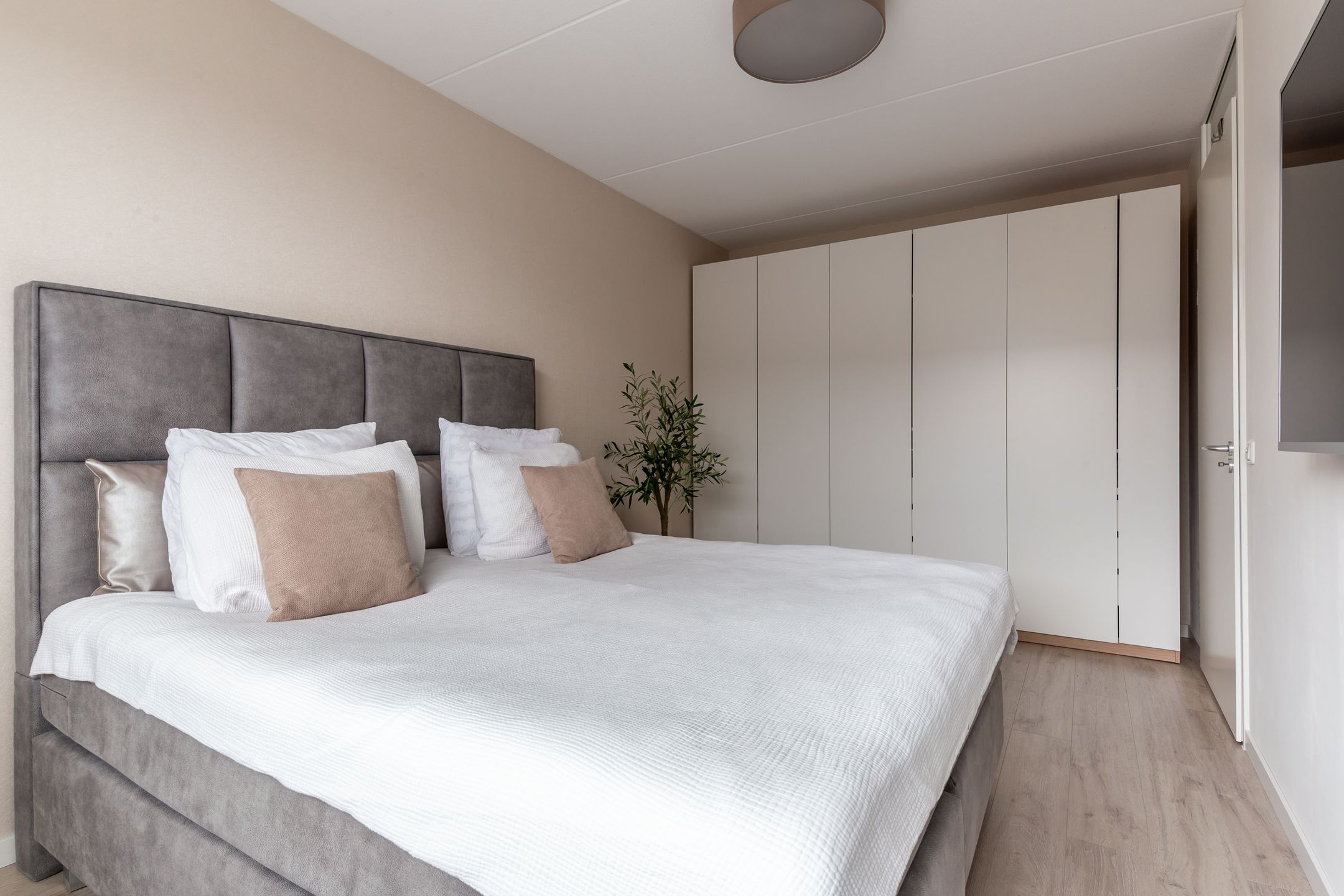 Foto 21 van Penningkruidstraat 47