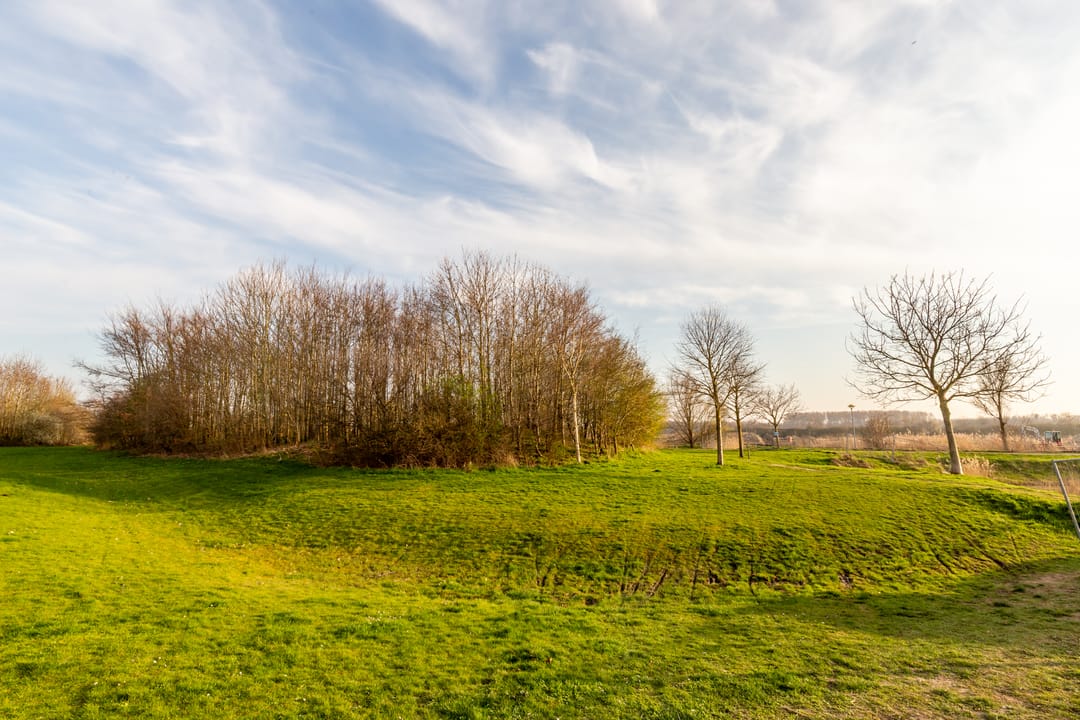 Foto 38 van Penningkruidstraat 47