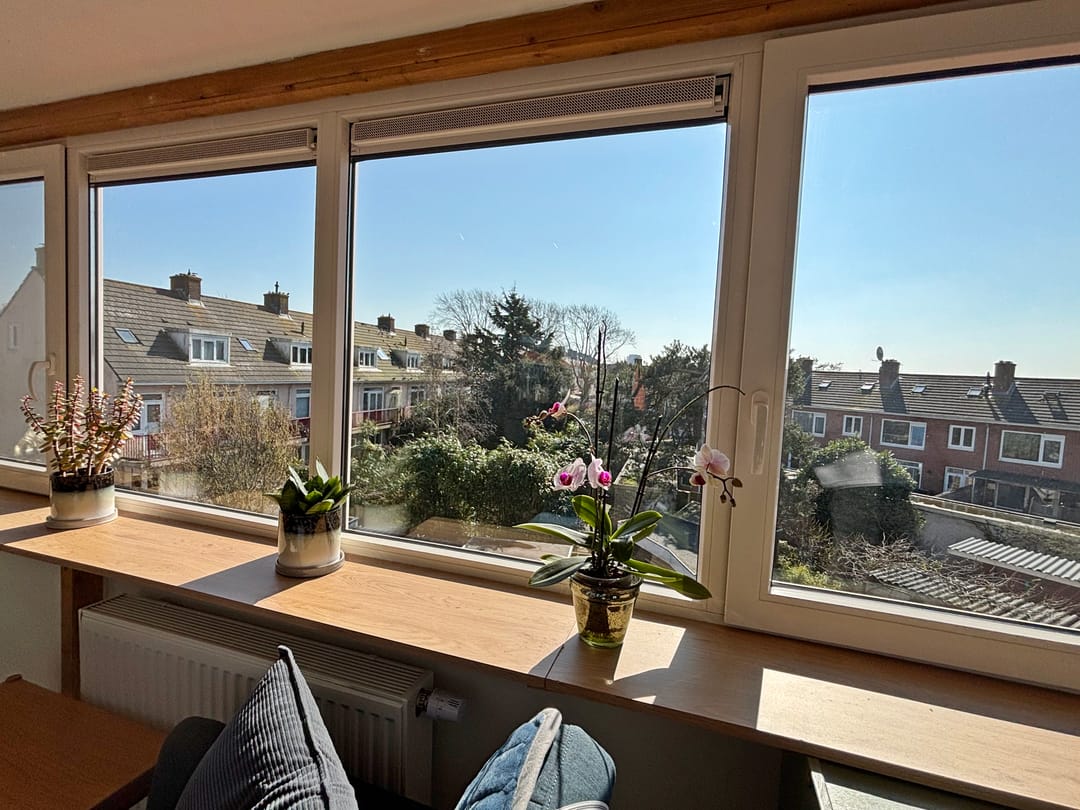 Foto 46 van Reigerstraat 144