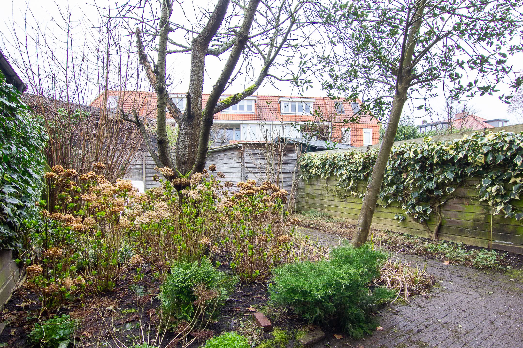 Foto 21 van Zandvoortselaan 56