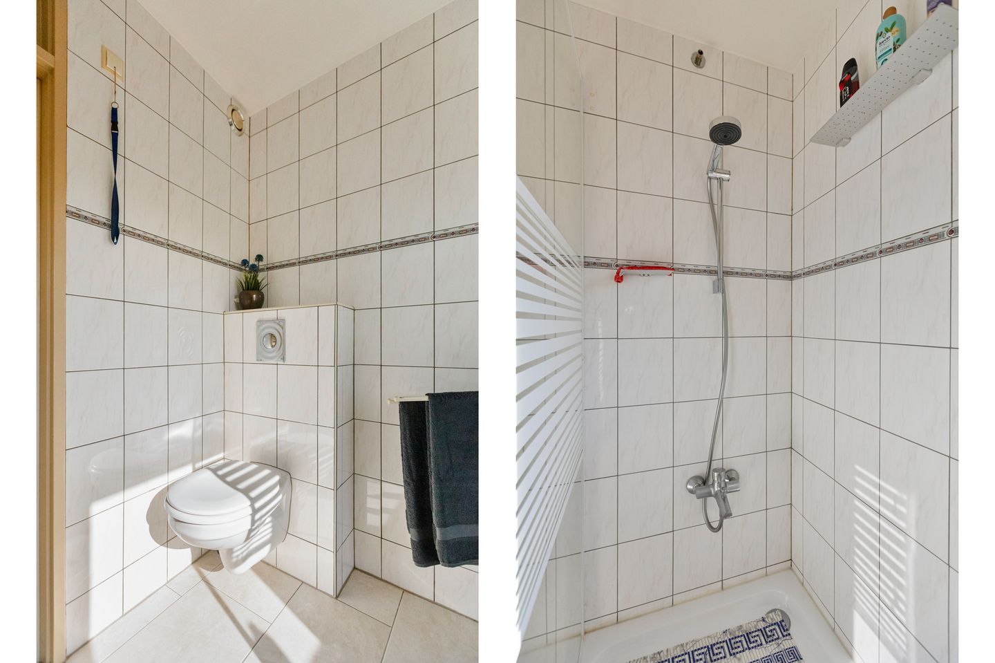 Foto 29 van Rodingsveen 20