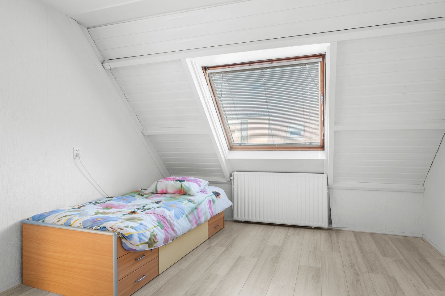 Photo 14 of Karkiet 38