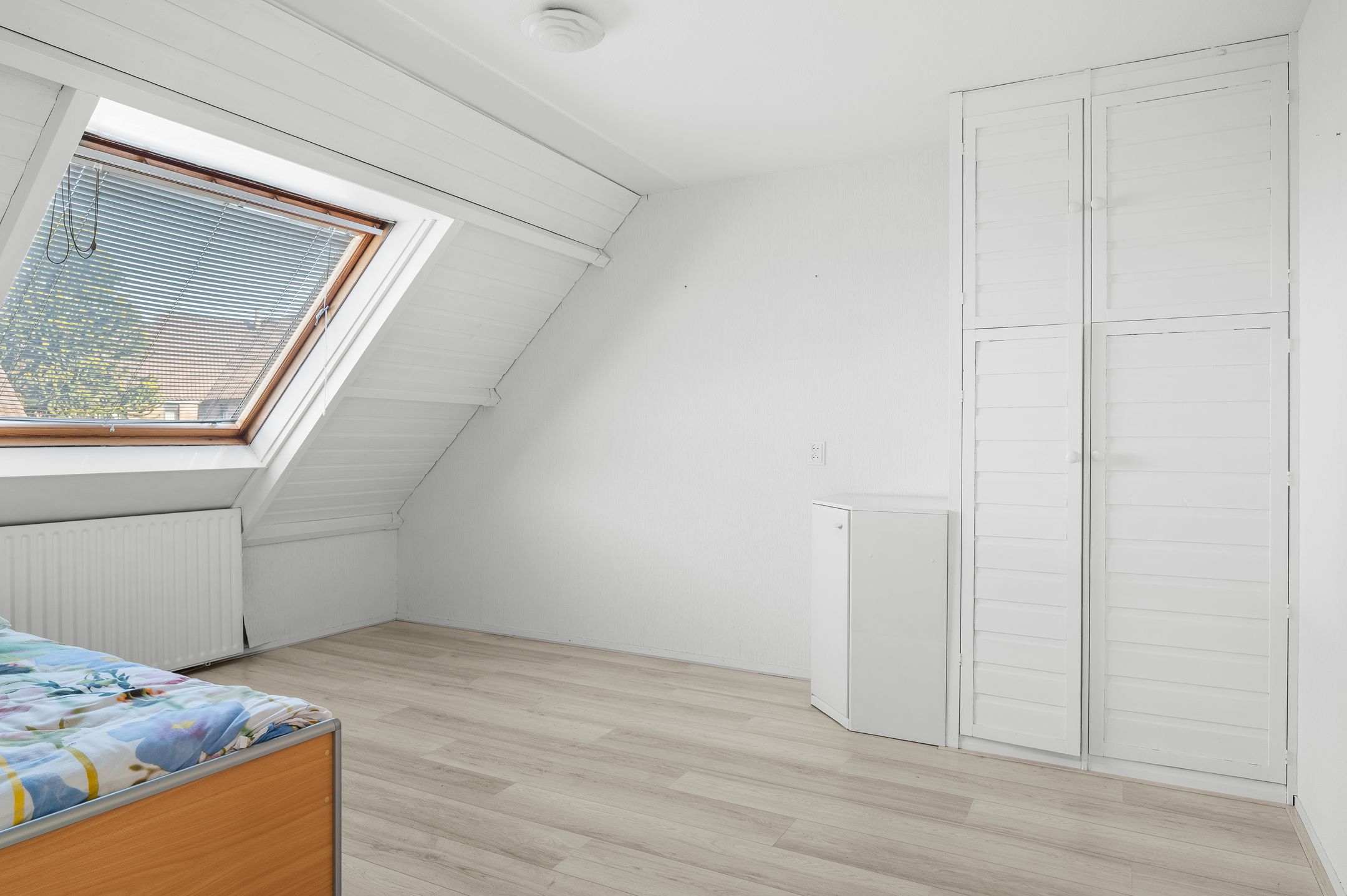 Photo 15 of Karkiet 38