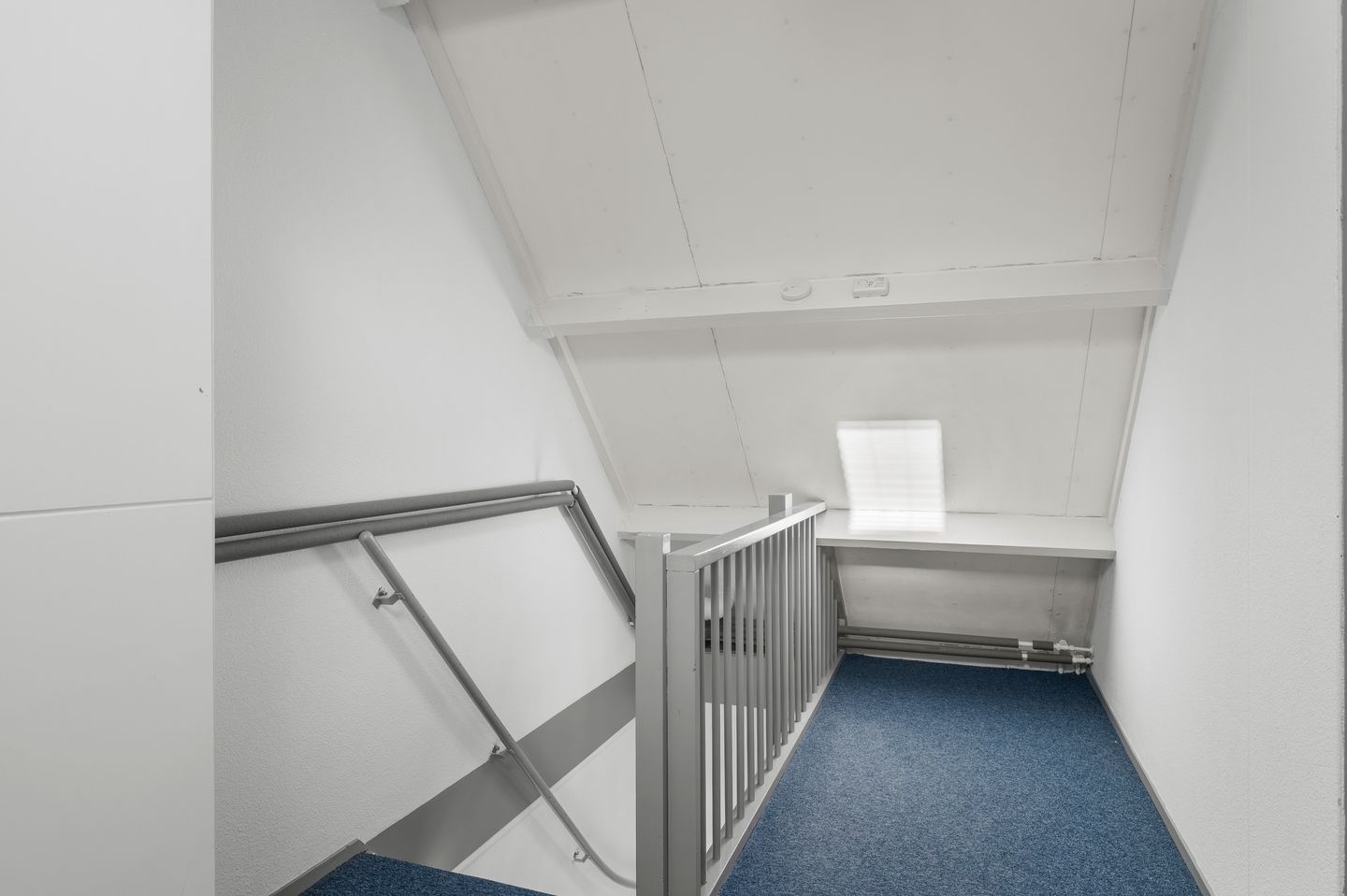 Photo 25 of Karkiet 38