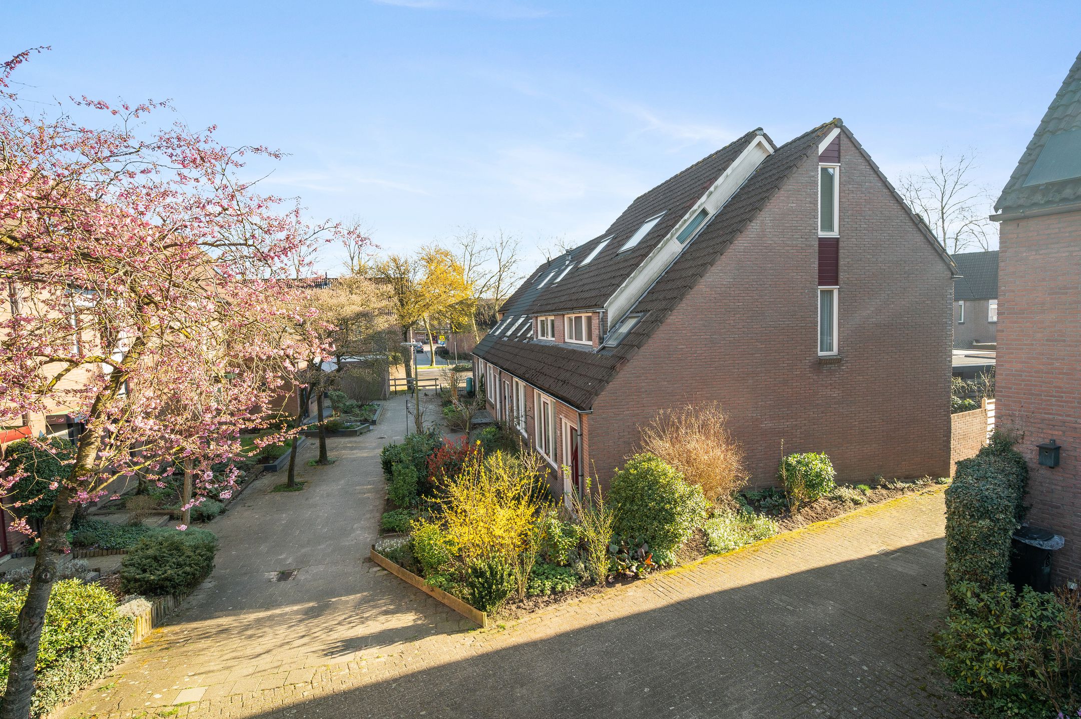 Photo 33 of Karkiet 38