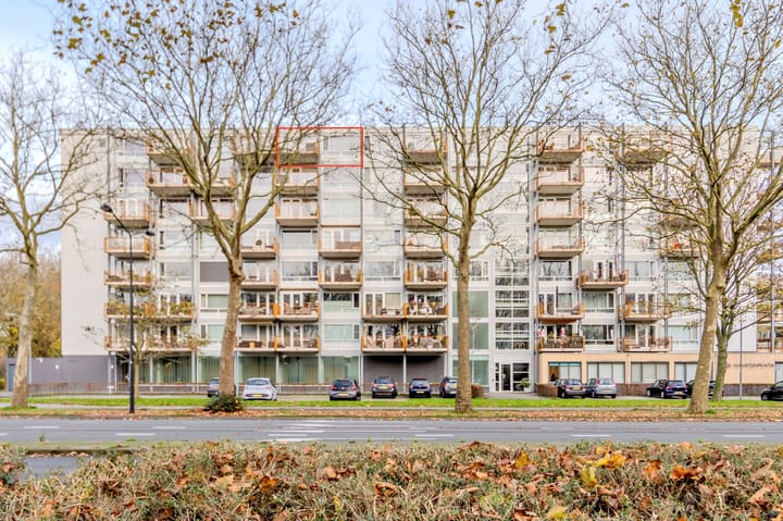 Kaap Hoorn 83