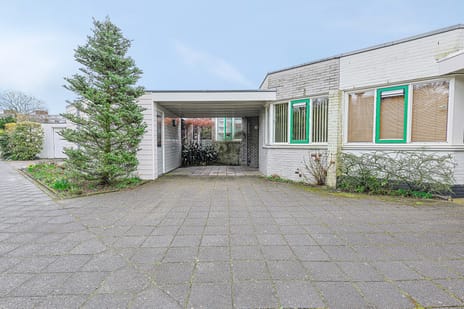 undefined main image