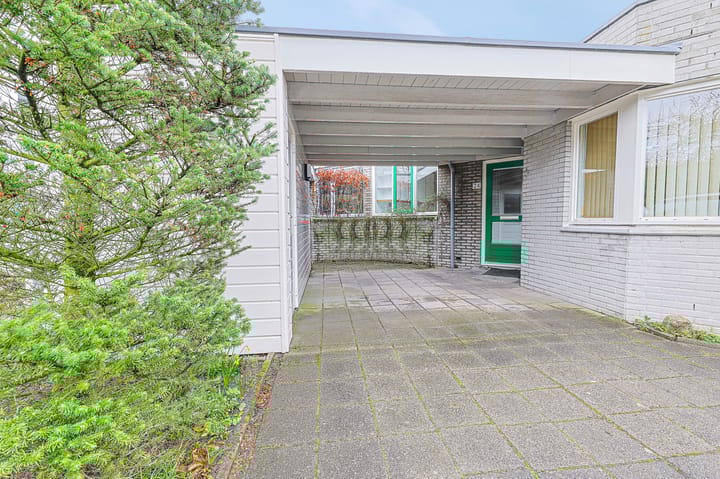 Photo 3 of Faustpad 24