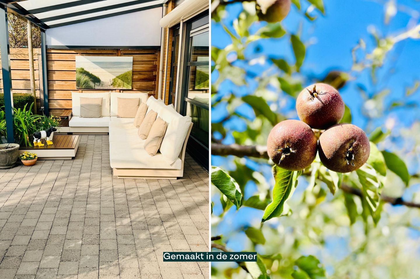 Foto 44 van Meesberg 11