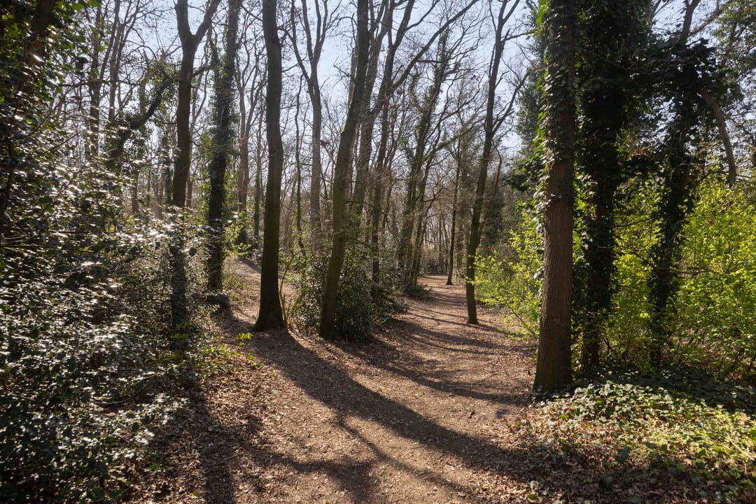 Foto 38 van Monseigneur Zwijsenstraat 3