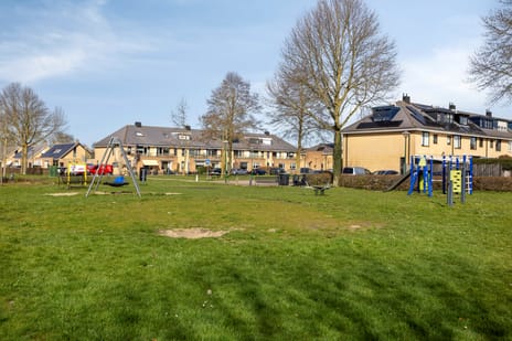 Bras 1 tertiary image