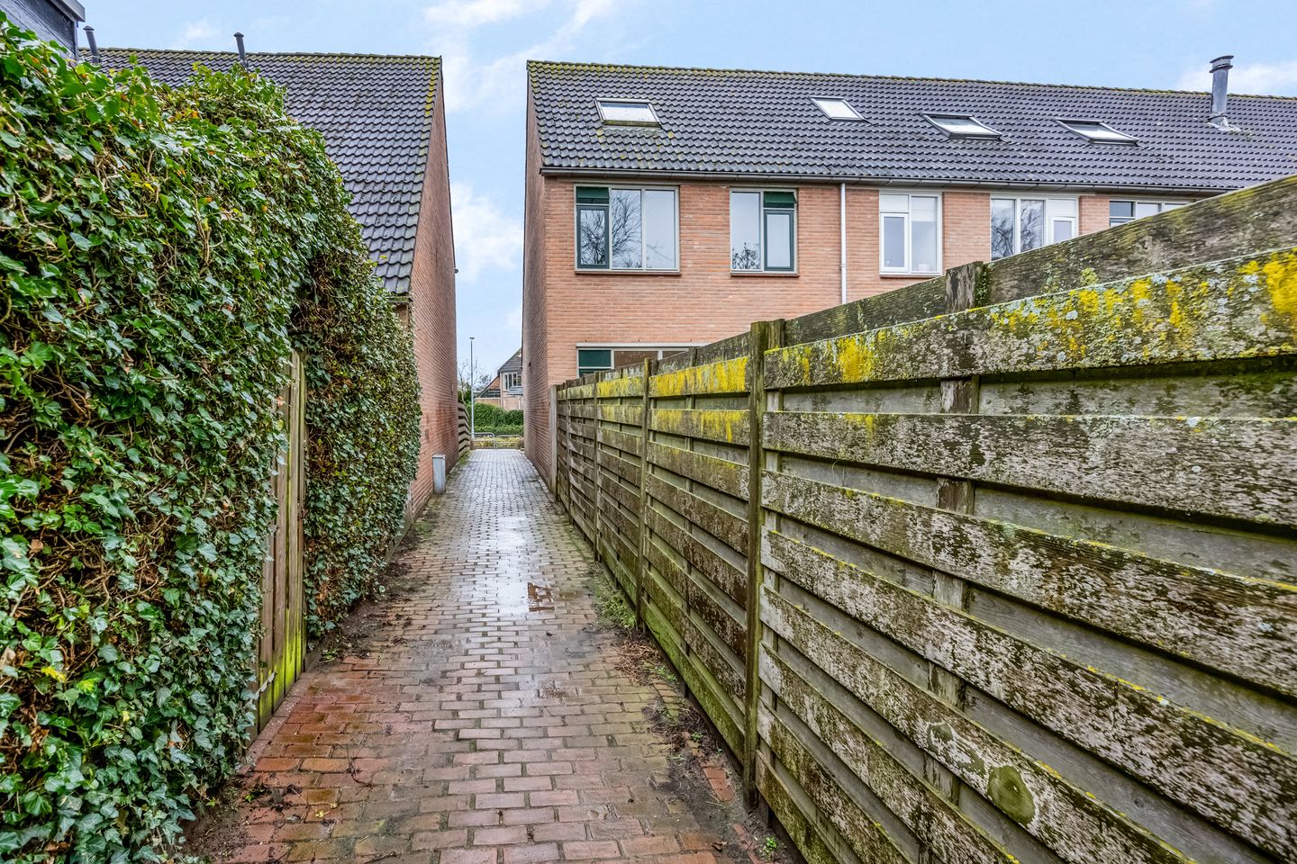 Foto 44 van Wildzoom 63