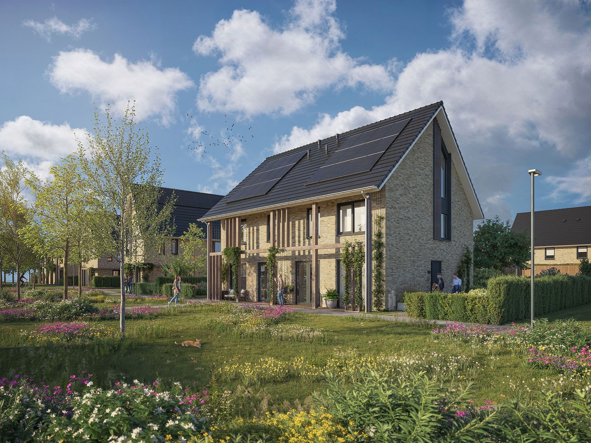 Photo 3 of Polderhof fase 2