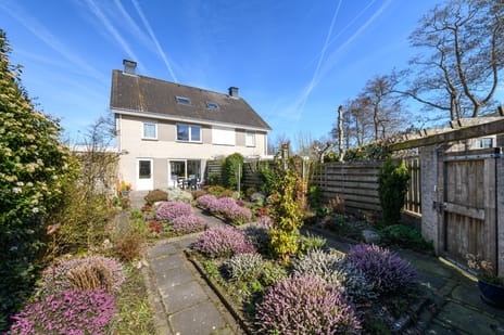 Waterlelie 55 tertiary image