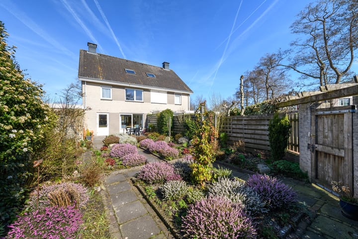 Photo 3 of Waterlelie 55