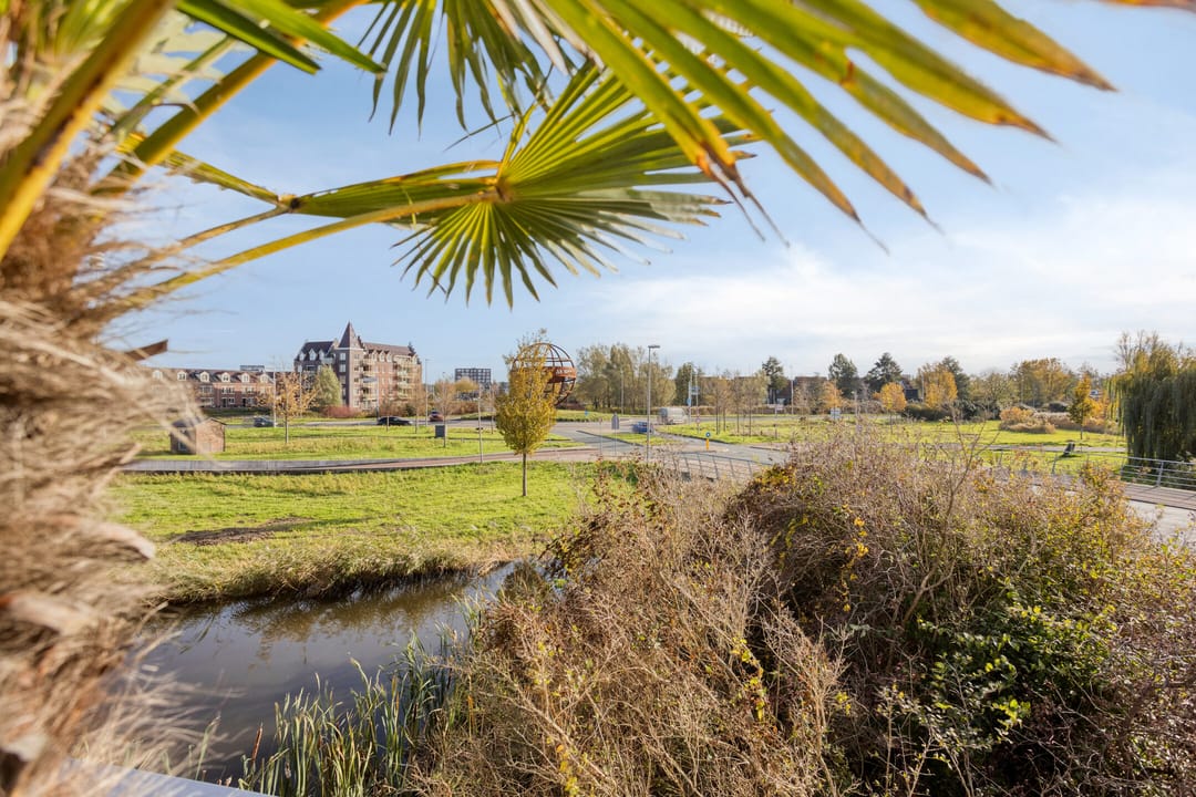 Foto 2 van Amazonelaan 2