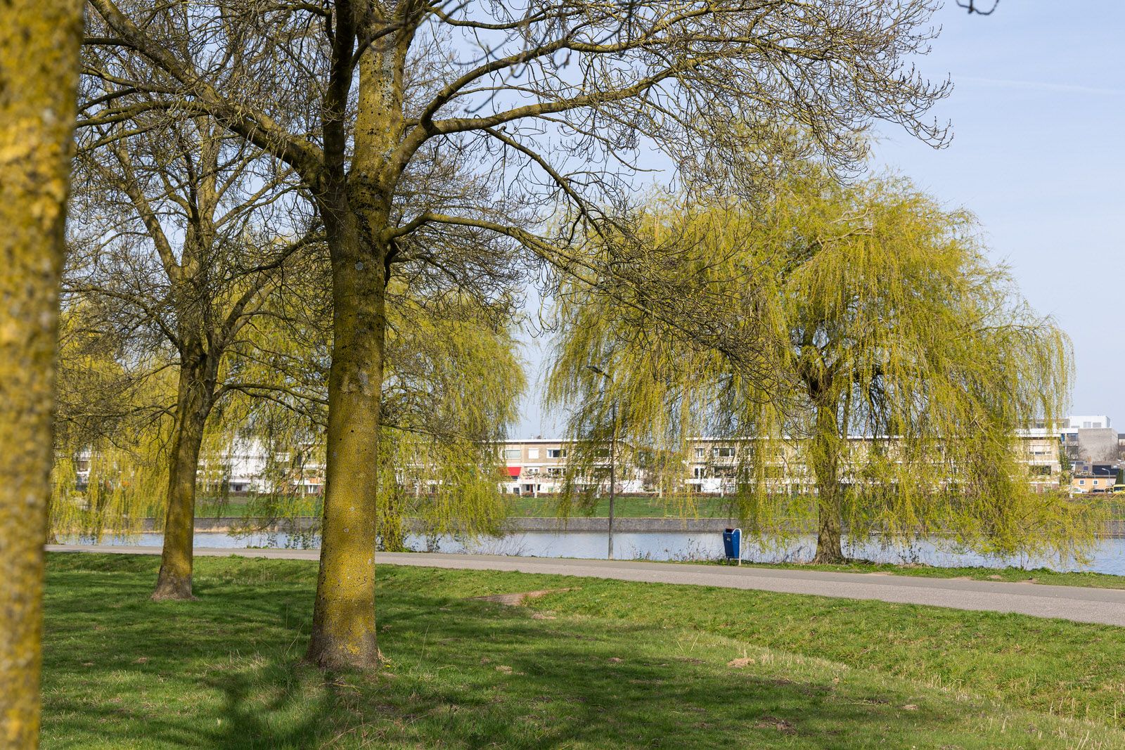 Foto 6 van Dommelstraat 5