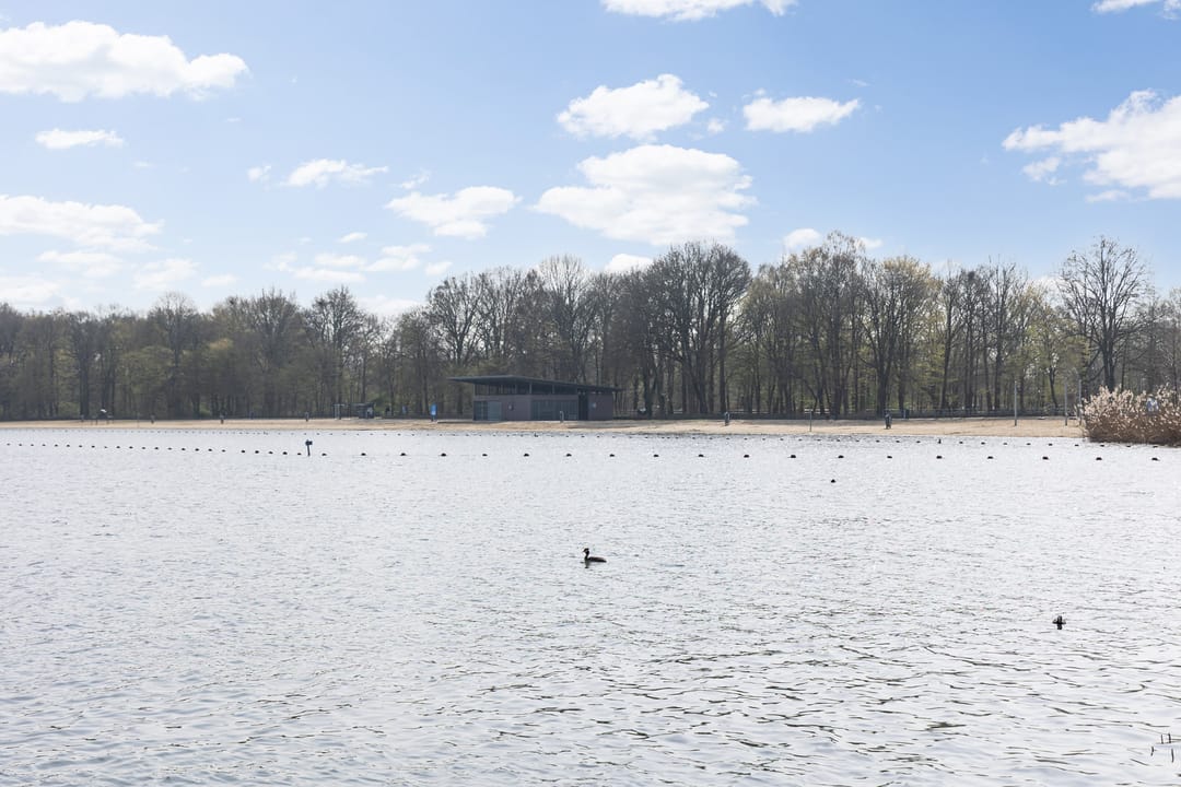 Foto 43 van Dommelstraat 5