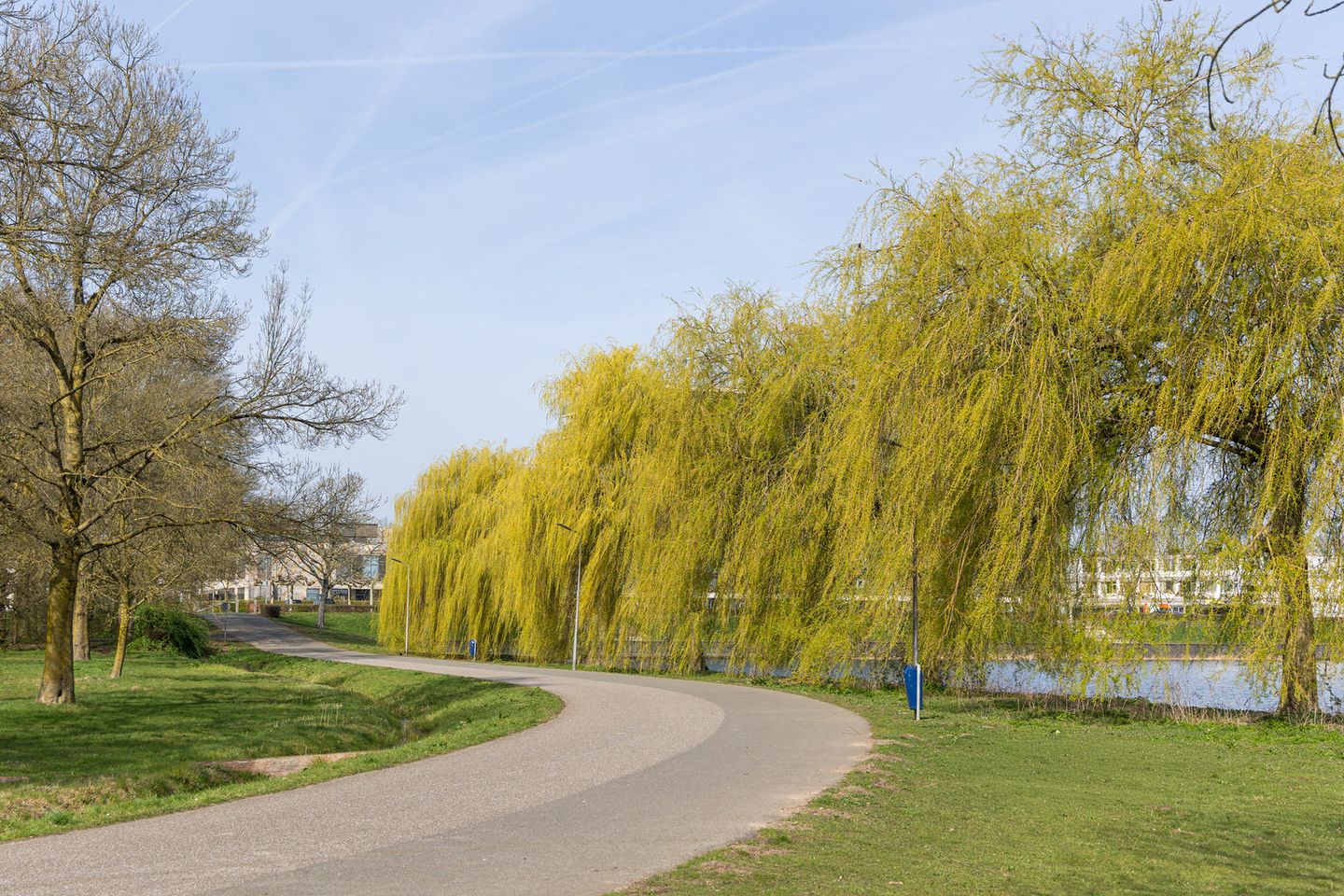 Foto 44 van Dommelstraat 5