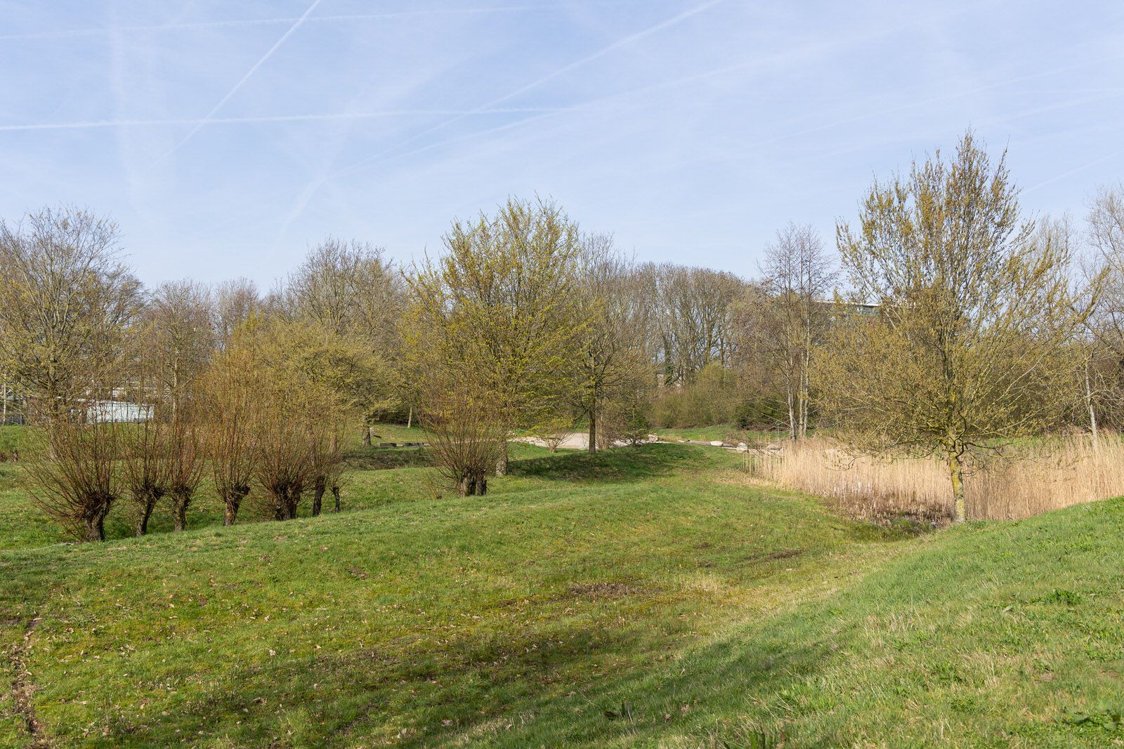 Foto 45 van Dommelstraat 5