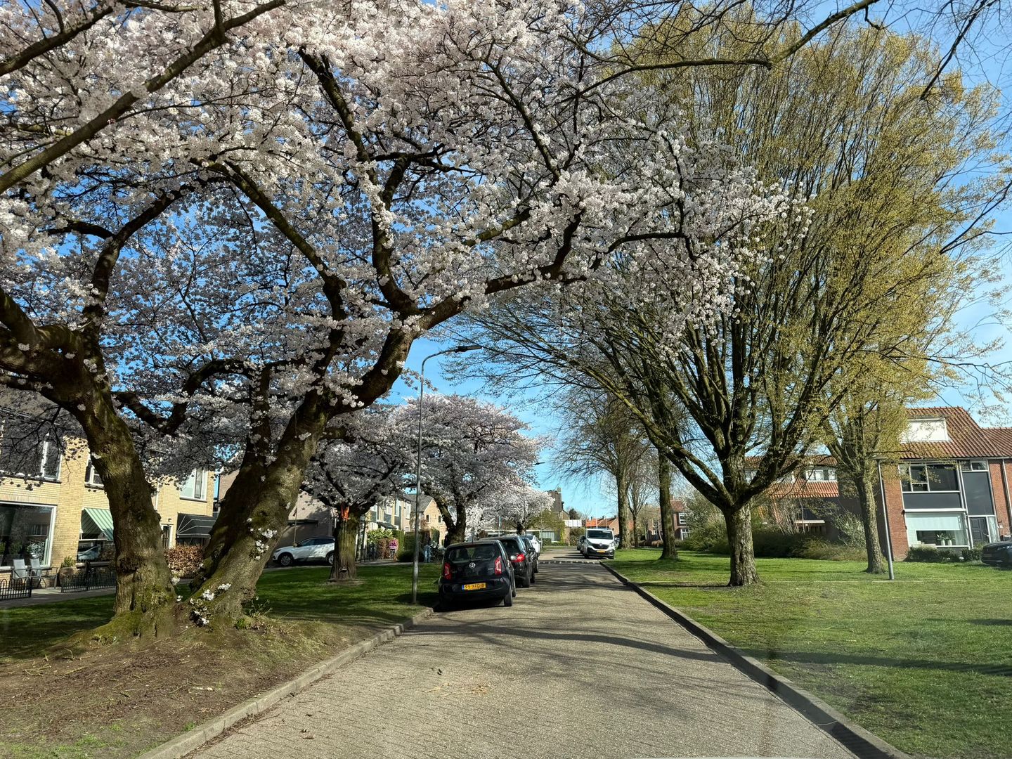 Foto 40 van Frans Tromplaan 19