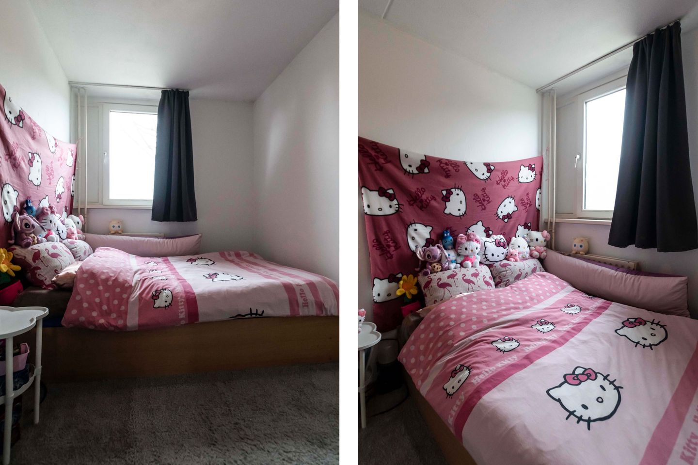 Photo 19 of De Pellenwever 96