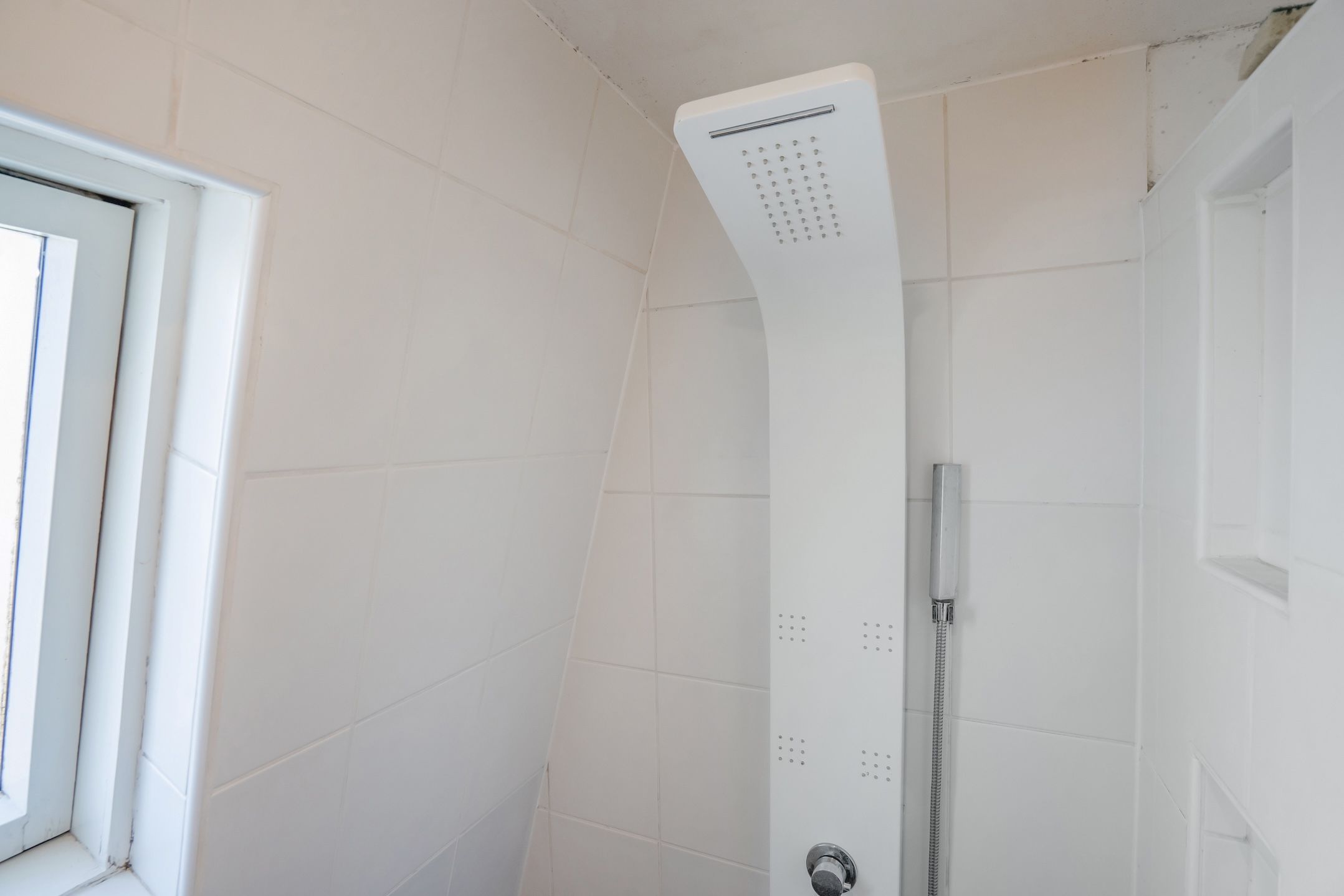 Foto 24 van Bessie Smithrode 45