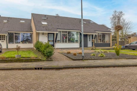 Houtwal 4 tertiary image