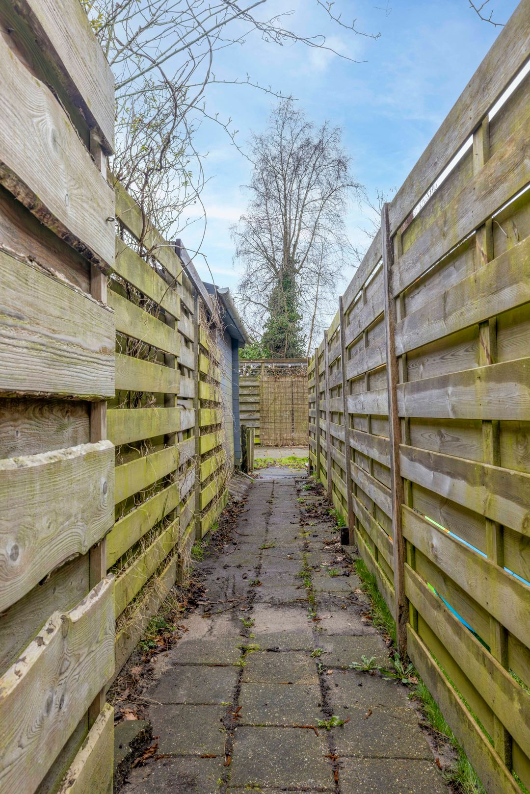 Photo 37 of Houtwal 4