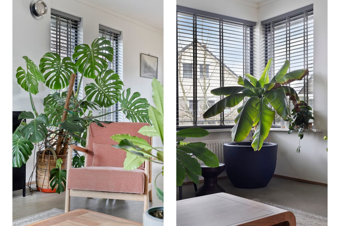 Foto 8 van Kampeerveld 11