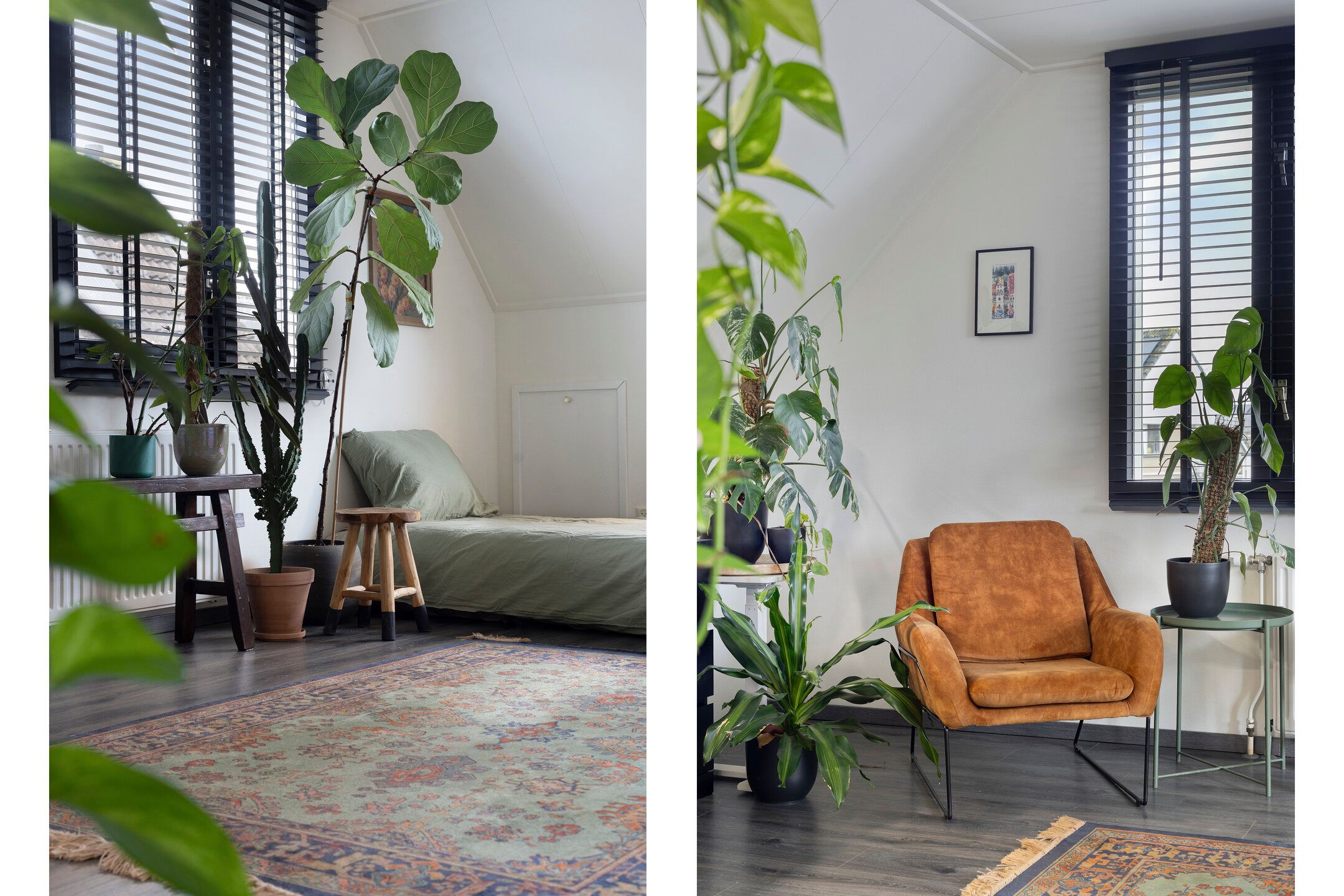 Foto 9 van Kampeerveld 11