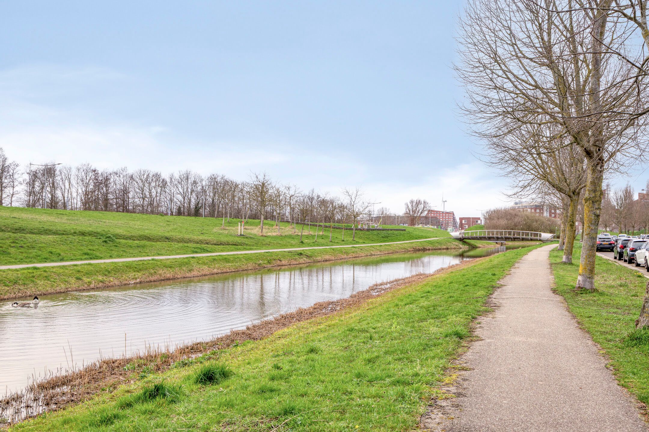 Foto 54 van Ruisvoornvijver 3