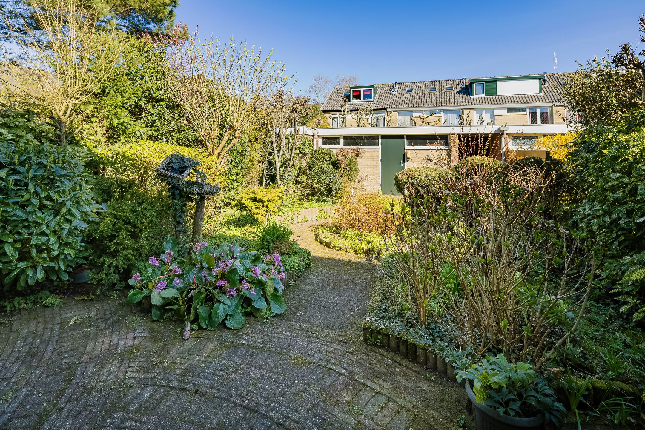 Photo 15 of Scheiberglaan 25