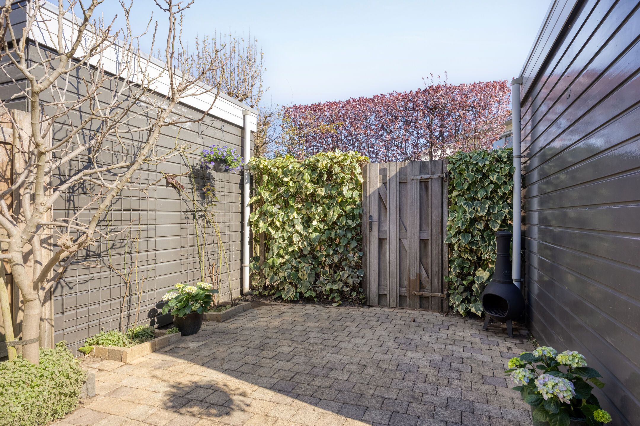 Foto 33 van Pijlpuntstraat 14