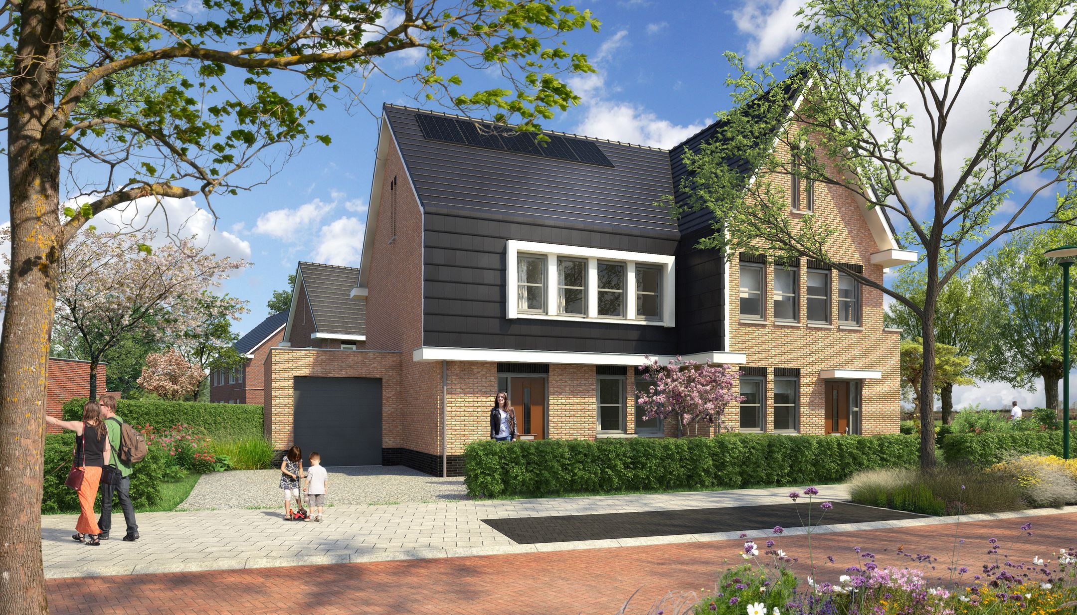 Holstein-Friesian 24