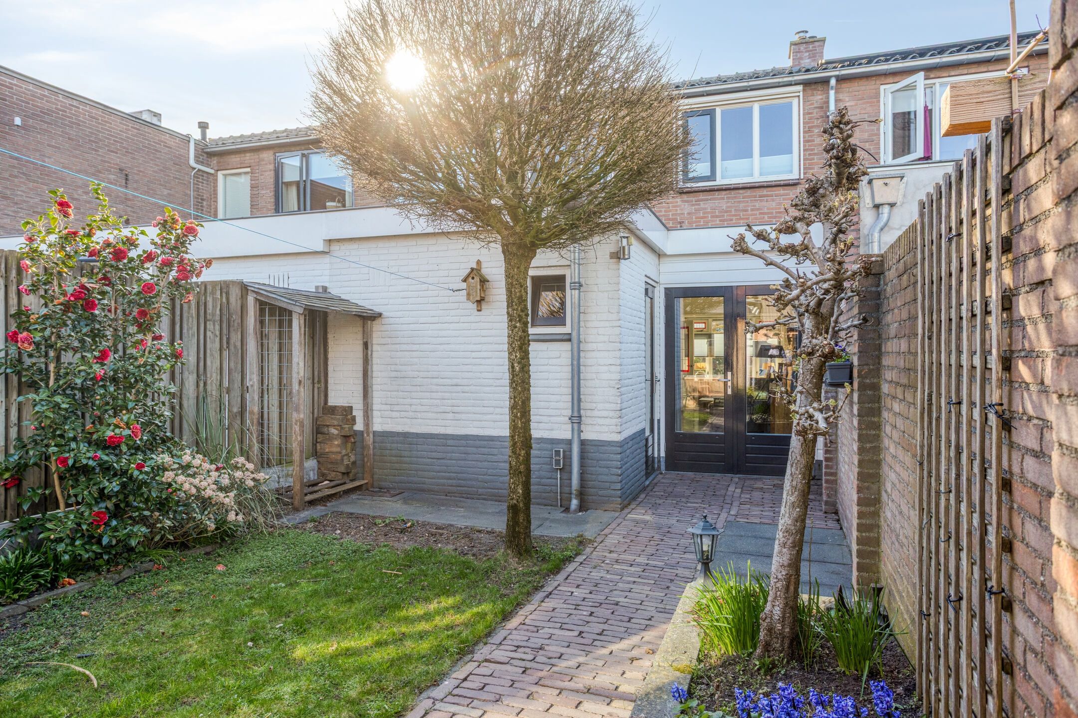 Foto 24 van Willaerlaan 52